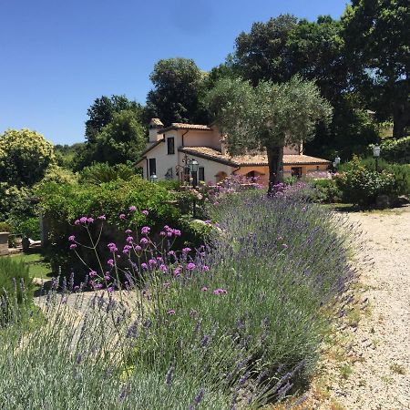 Olivella Villa Campagnano Di Roma Bagian luar foto