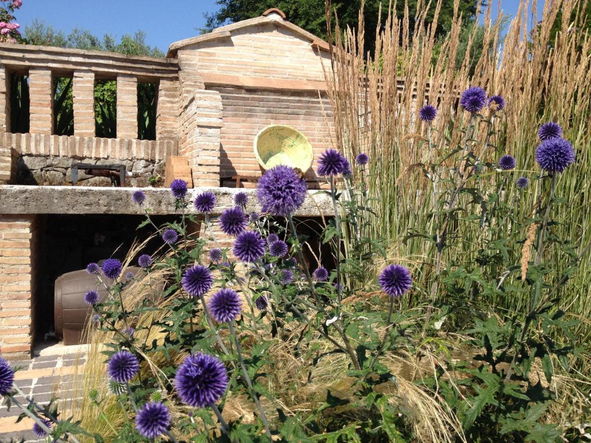 Olivella Villa Campagnano Di Roma Bagian luar foto