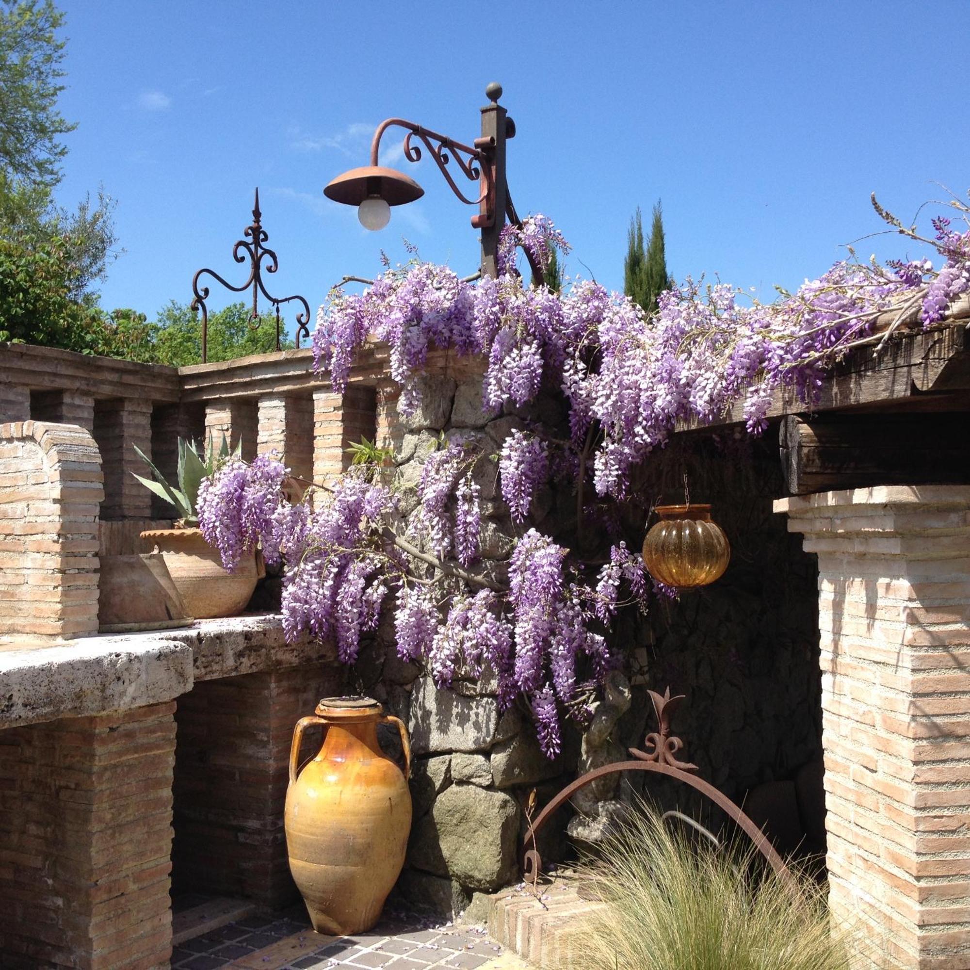 Olivella Villa Campagnano Di Roma Bagian luar foto