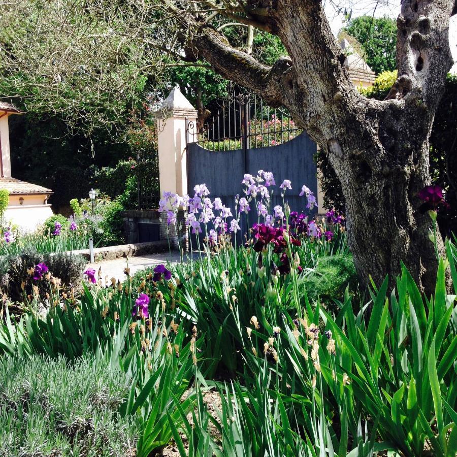 Olivella Villa Campagnano Di Roma Bagian luar foto