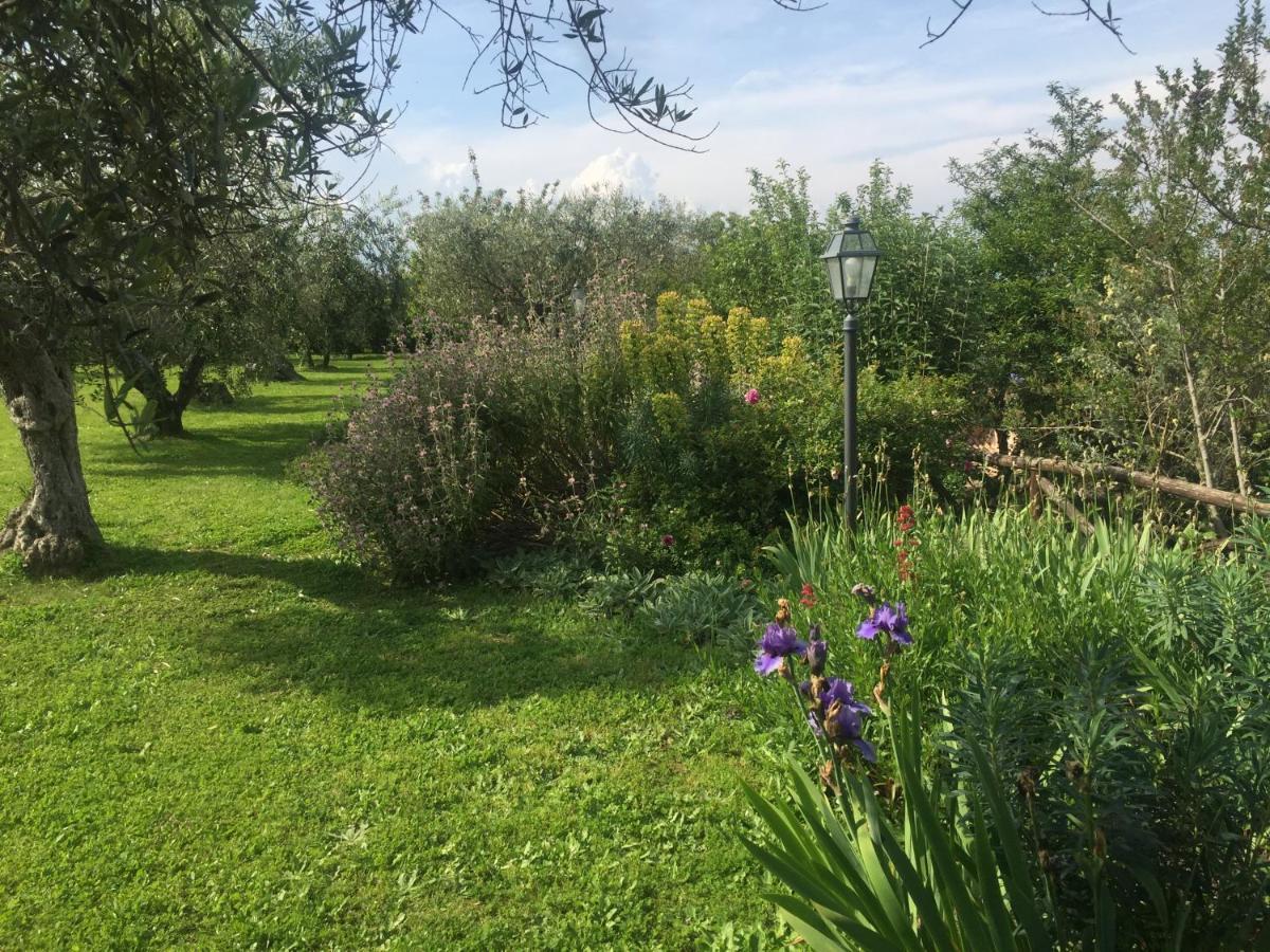 Olivella Villa Campagnano Di Roma Bagian luar foto
