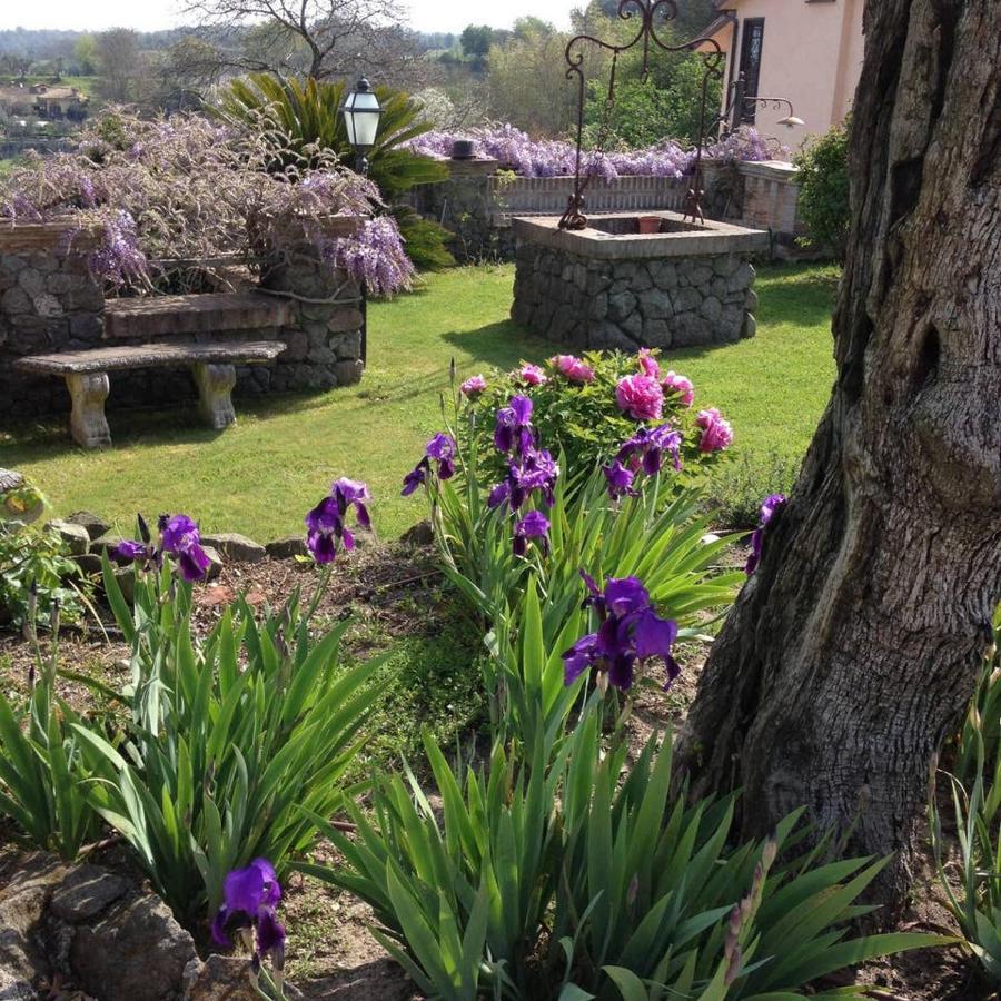 Olivella Villa Campagnano Di Roma Bagian luar foto
