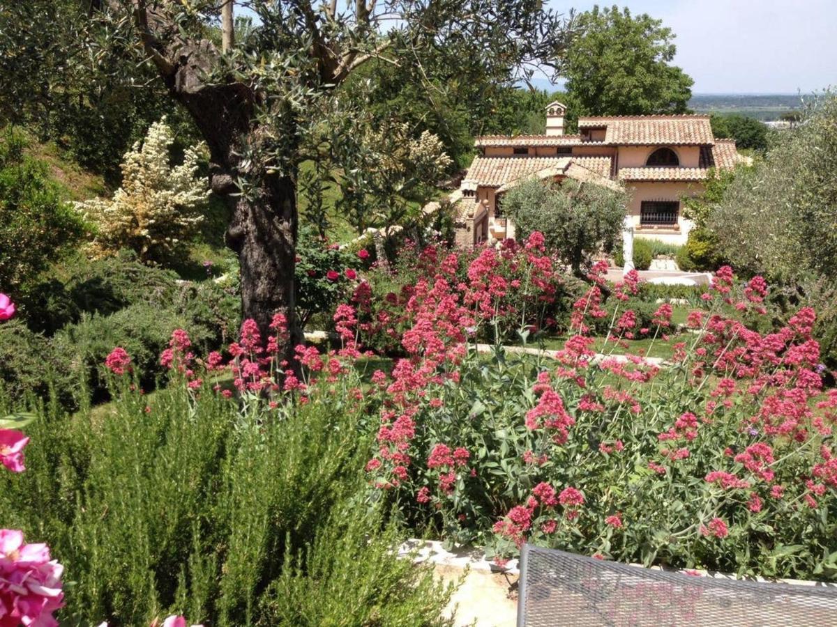 Olivella Villa Campagnano Di Roma Bagian luar foto