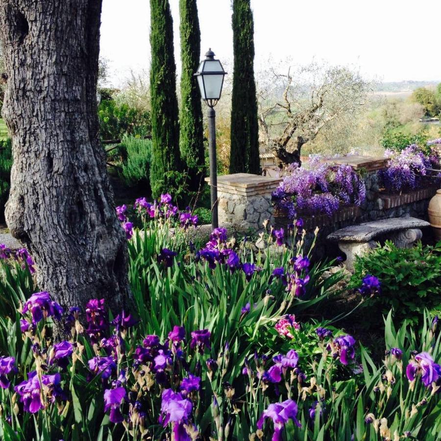 Olivella Villa Campagnano Di Roma Bagian luar foto