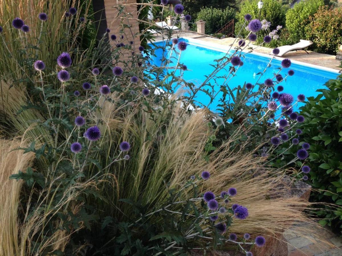 Olivella Villa Campagnano Di Roma Bagian luar foto